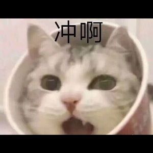 Meet your Posher, Panfeng